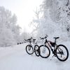 Велопрогулка "В зимний лес"