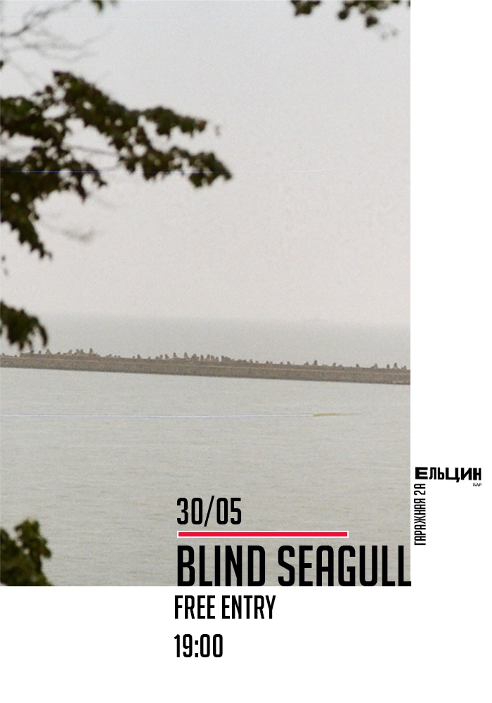 Blind seagull open air