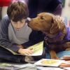 Дети читают собакам