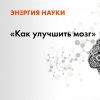 лекция А. Хоружая, А. Паевский лекция “Как улучшить мозг”