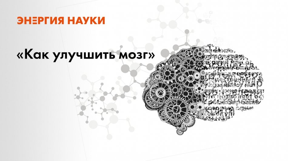Лекция А. Хоружая, А. Паевский лекция “Как улучшить мозг”
