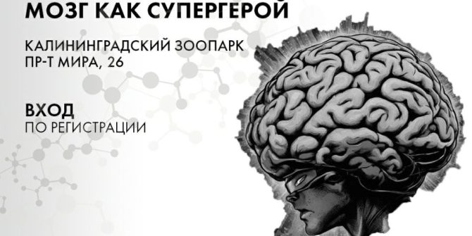 Лекция Алексея Паевского «Мозг как супергерой»