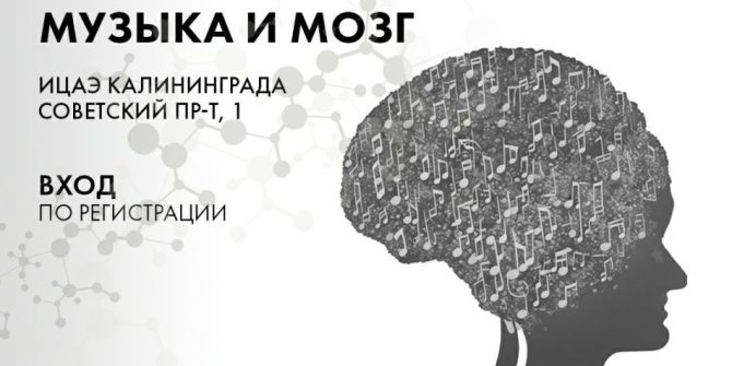 Лекция Алексея Паевского «Музыка и мозг»