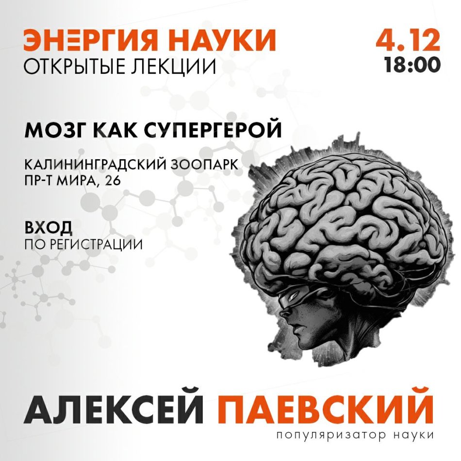 Лекция Алексея Паевского «Мозг как супергерой»